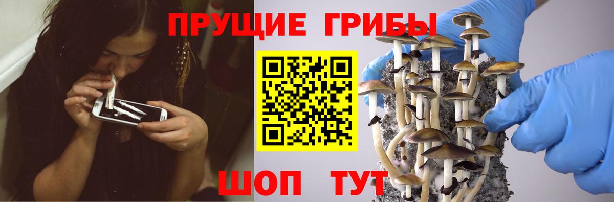Галлюциногенные грибы Magic Shrooms  Псилоцибиновые грибы ЛСД  Тольятти  Вход с VPN 