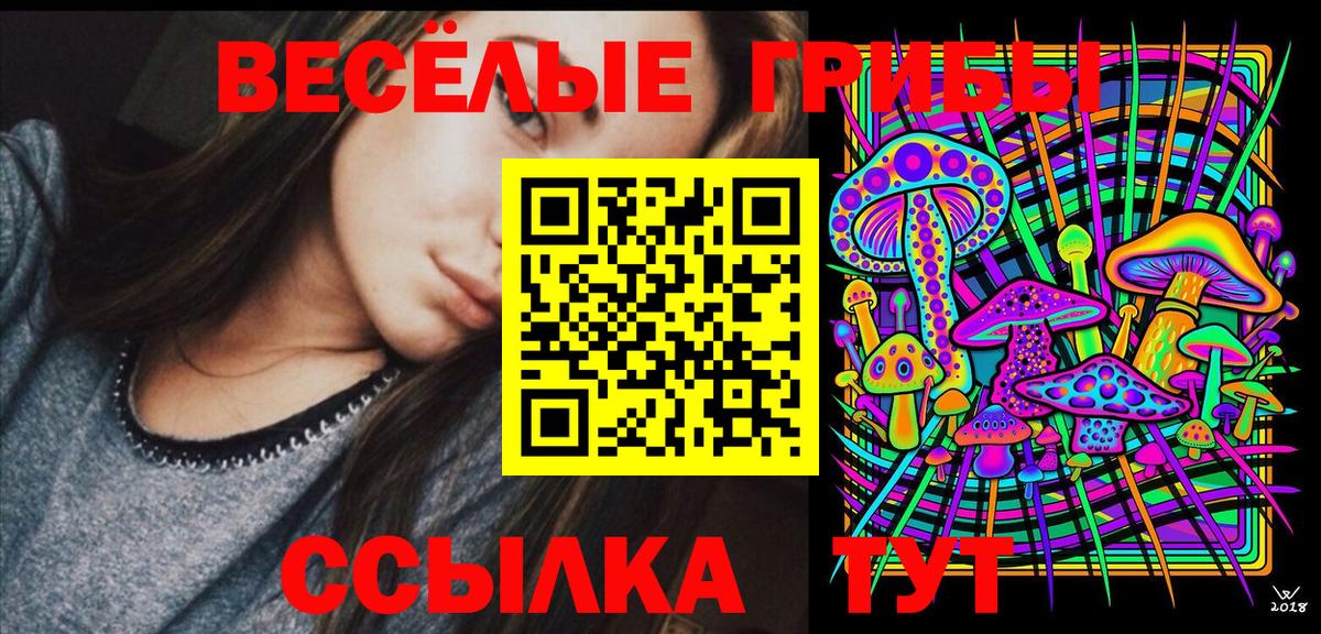 Галлюциногенные грибы Psilocybe Тольятти